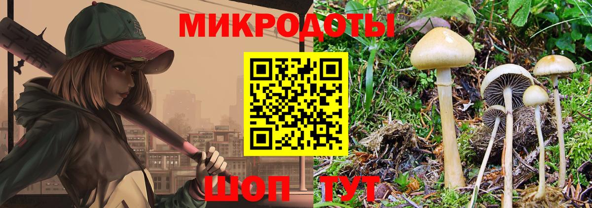 Псилоцибиновые грибы мухоморы  даркнет сайт  Псилоцибиновые грибы Psilocybine cubensis  Будённовск  Вход с VPN 