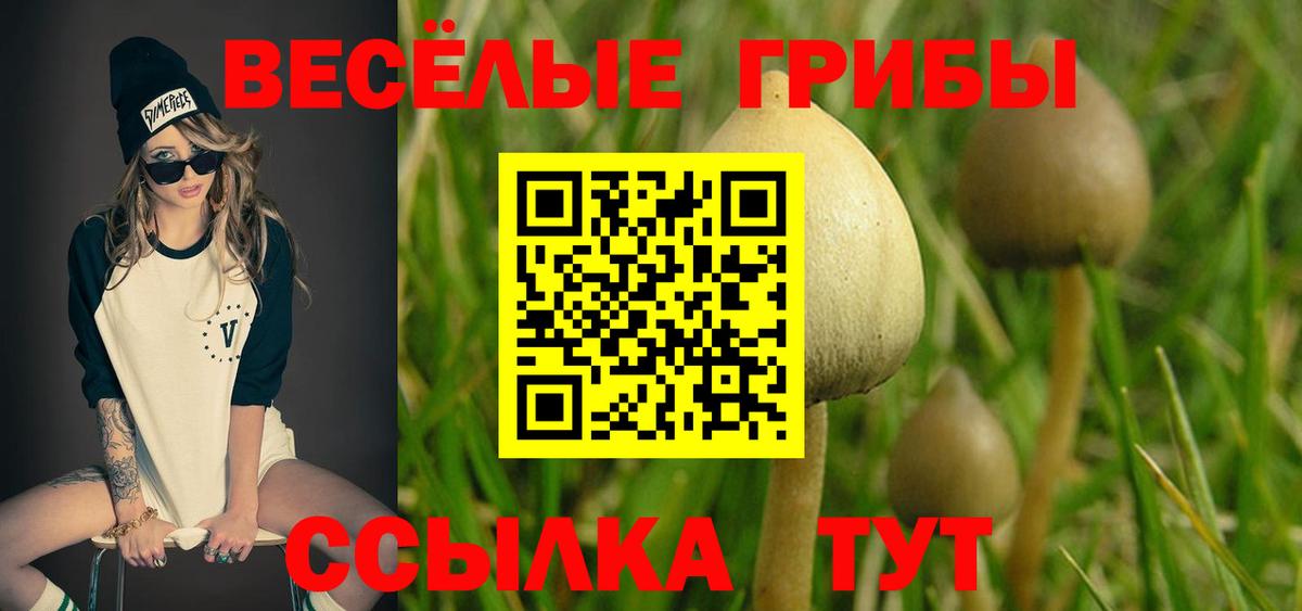 Галлюциногенные грибы Psilocybine cubensis Будённовск